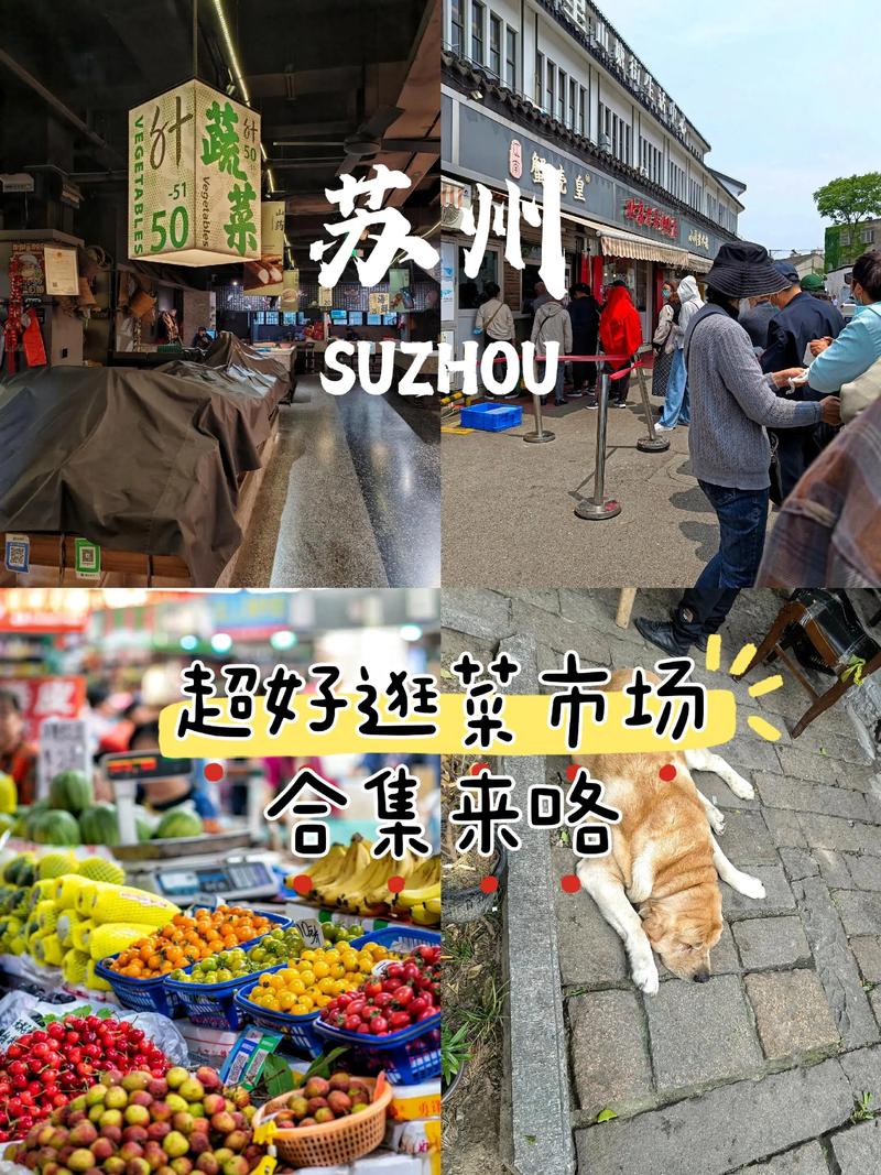 苏州商贸公司：市场环境与发展趋势